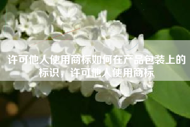 许可他人使用商标如何在产品包装上的标识，许可他人使用商标