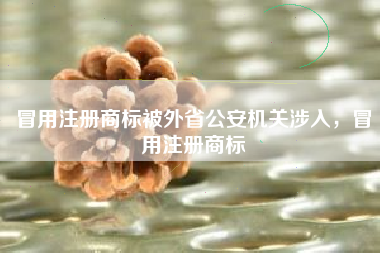 冒用注册商标被外省公安机关涉入，冒用注册商标