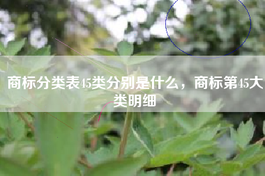 商标分类表45类分别是什么，商标第45大类明细