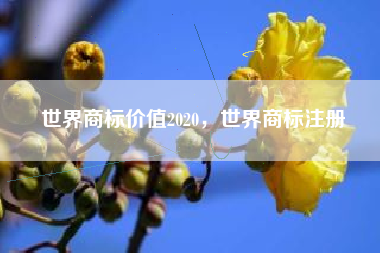 世界商标价值2020，世界商标注册