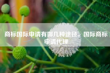 商标国际申请有哪几种途径，国际商标申请代理