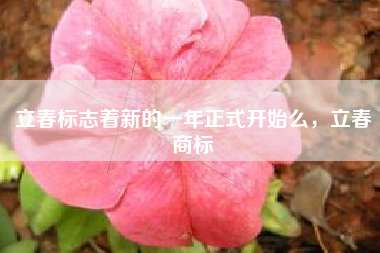 立春标志着新的一年正式开始么，立春商标