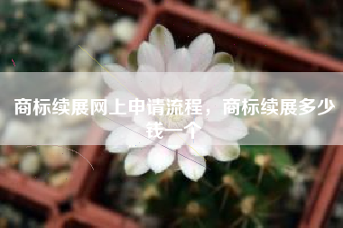 商标续展网上申请流程，商标续展多少钱一个