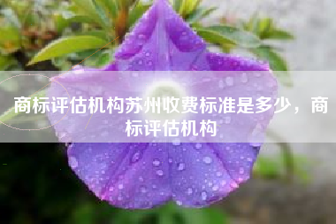 商标评估机构苏州收费标准是多少，商标评估机构
