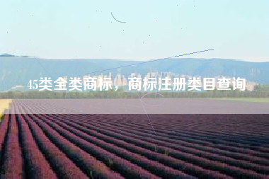 45类全类商标，商标注册类目查询