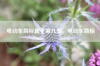 电动车商标属于第几类，电动车商标