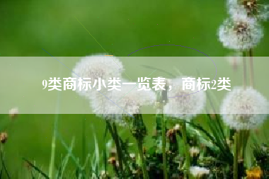 9类商标小类一览表，商标2类