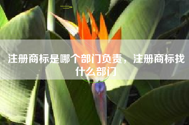 注册商标是哪个部门负责，注册商标找什么部门