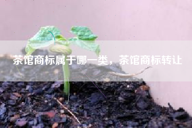 茶馆商标属于哪一类，茶馆商标转让