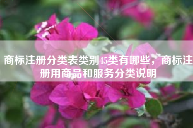 商标注册分类表类别45类有哪些，商标注册用商品和服务分类说明