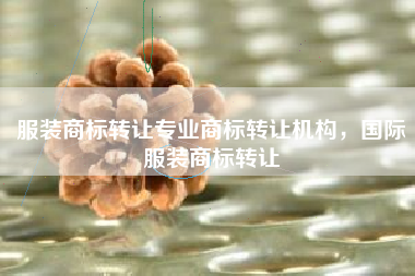 服装商标转让专业商标转让机构，国际服装商标转让