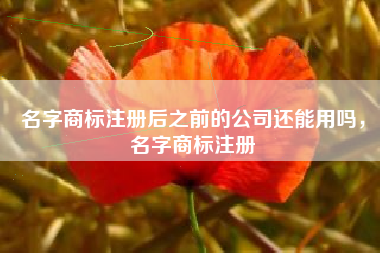 名字商标注册后之前的公司还能用吗，名字商标注册