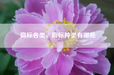 商标各类，商标种类有哪些