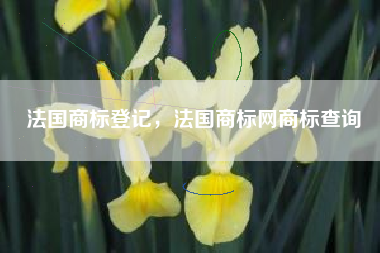 法国商标登记，法国商标网商标查询