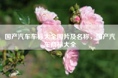 国产汽车车标大全图片及名称，国产汽车商标大全