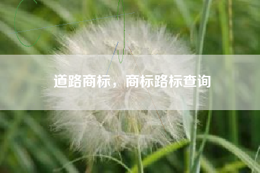 道路商标，商标路标查询