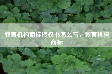 教育机构商标授权书怎么写，教育机构商标