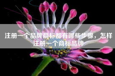 注册一个品牌商标都有哪些步骤，怎样注册一个商标品牌