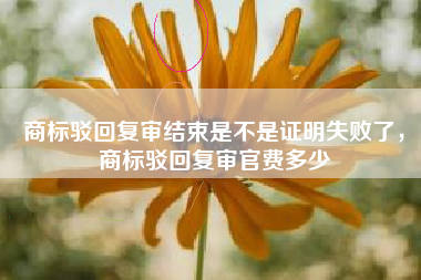 商标驳回复审结束是不是证明失败了，商标驳回复审官费多少
