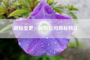 商标变更，深圳公司商标转让