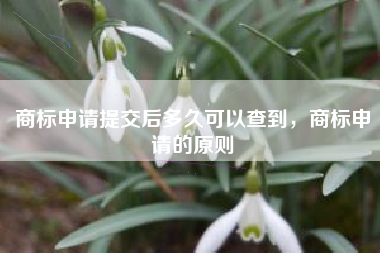 商标申请提交后多久可以查到，商标申请的原则