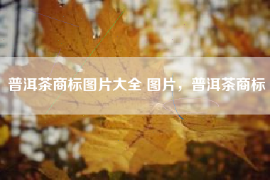 普洱茶商标图片大全 图片，普洱茶商标