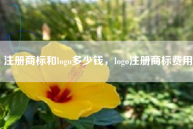 注册商标和logo多少钱，logo注册商标费用