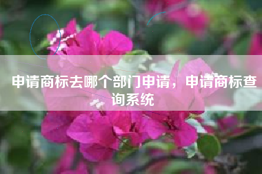 申请商标去哪个部门申请，申请商标查询系统