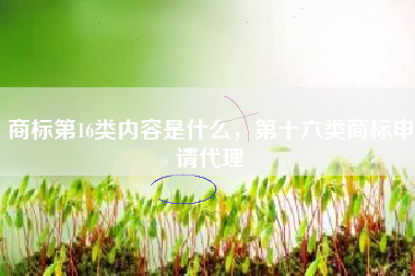 商标第16类内容是什么，第十六类商标申请代理