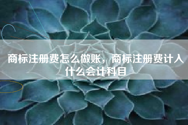商标注册费怎么做账，商标注册费计入什么会计科目