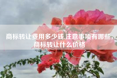 商标转让费用多少钱,注意事项有哪些，商标转让什么价格