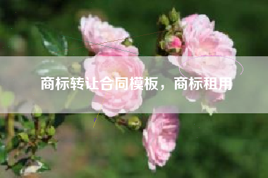 商标转让合同模板，商标租用