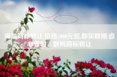 海量商标转让,价格3000元起,即买即用,省心省时，数码商标转让
