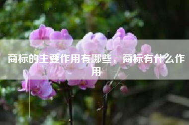 商标的主要作用有哪些，商标有什么作用