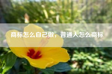 商标怎么自己做，普通人怎么商标