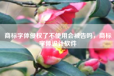 商标字体侵权了不使用会被告吗，商标字体设计软件