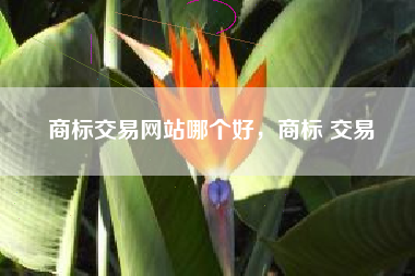 商标交易网站哪个好，商标 交易