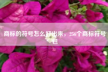 商标的符号怎么打出来，256个商标符号包