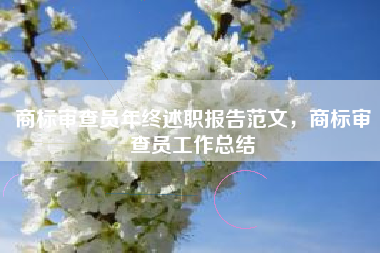 商标审查员年终述职报告范文，商标审查员工作总结