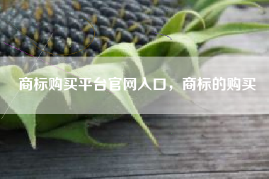 商标购买平台官网入口，商标的购买