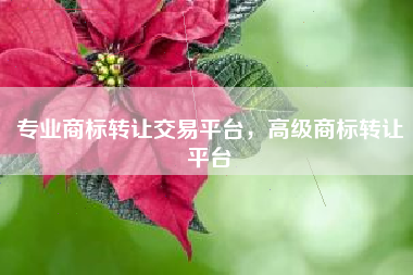 专业商标转让交易平台，高级商标转让平台