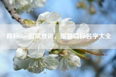 商标logo图案查询，服装商标名字大全