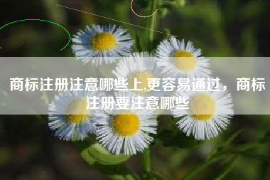 商标注册注意哪些上,更容易通过,商标注册要注意哪些 商标注册注意哪些上,更容易通过,商标注册要注意哪些
