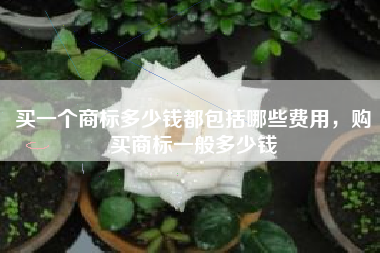 买一个商标多少钱都包括哪些费用，购买商标一般多少钱