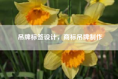 吊牌标签设计，商标吊牌制作