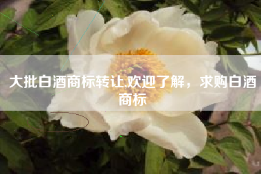大批白酒商标转让,欢迎了解，求购白酒商标