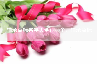 轴承商标名字大全10000个，轴承商标