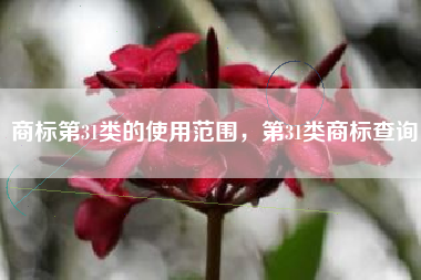 商标第31类的使用范围，第31类商标查询