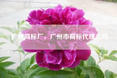 广州商标厂，广州市商标代理公司