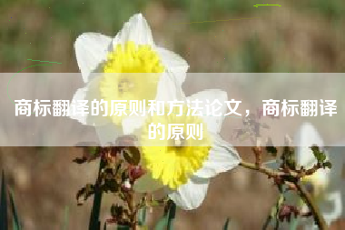 商标翻译的原则和方法论文，商标翻译的原则
